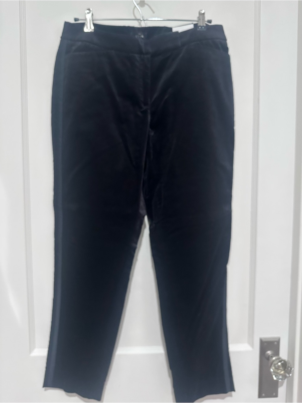 White House Black Market NWT Black Velvet Tuxedo Pants- Size 10